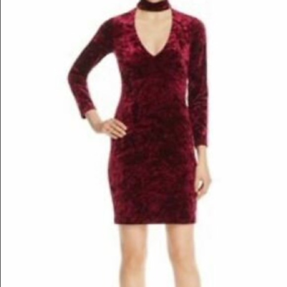 Bardot burgundy velvet choker dress.